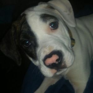 Meet your Posher, Annmarie